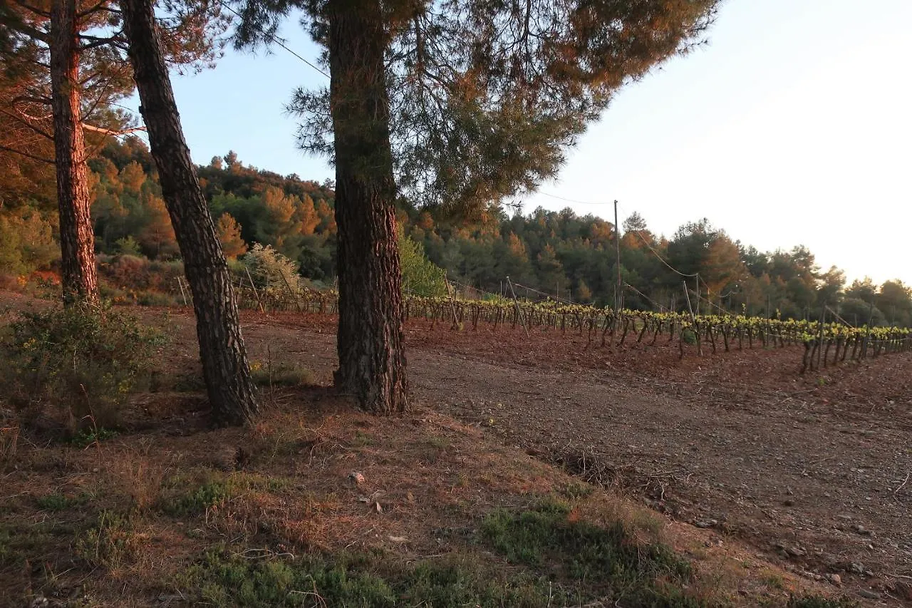 Apartamento Masia Sagués Poblet